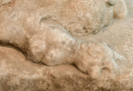 Lion, detail