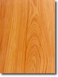 cypress